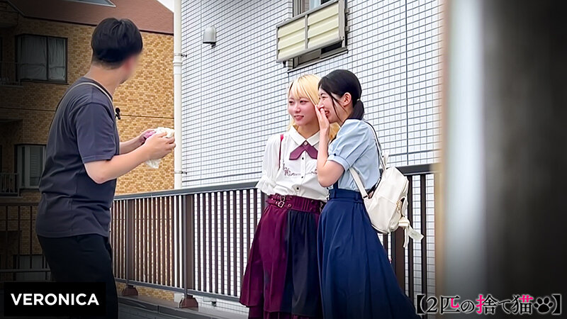 M.A.＆H.M.││ハイビジョン│1vrnc00064